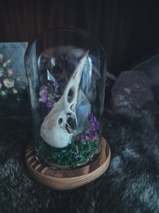 Crow Skull Dome