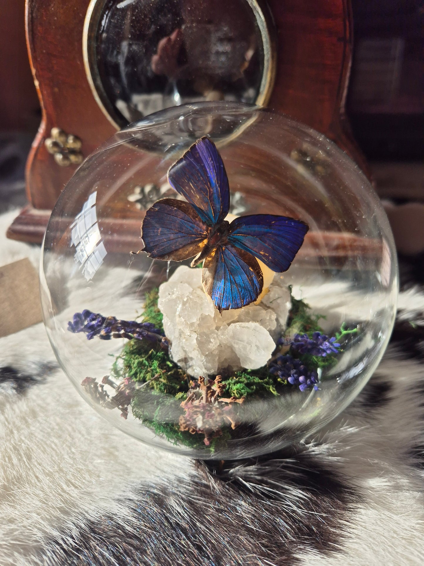 Parakite Skull and Centaur Oakblue