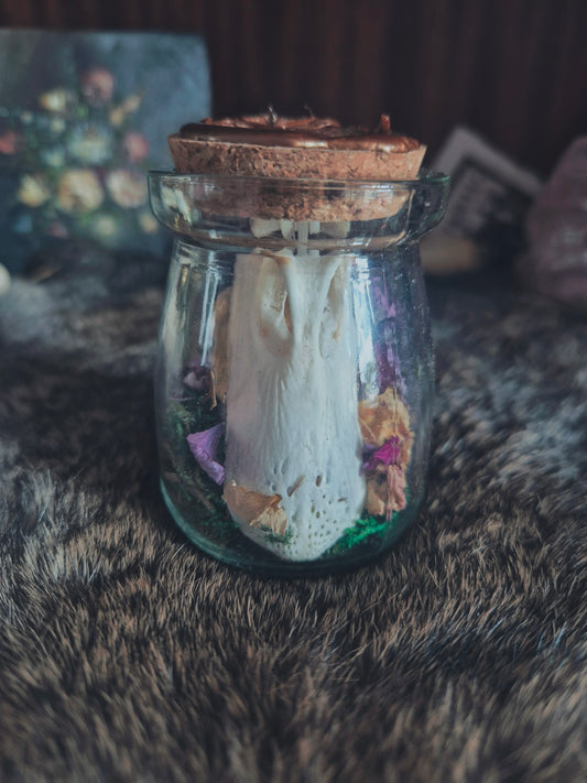 Duck Beak Jar