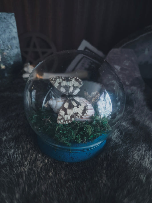 Butterfly Dome