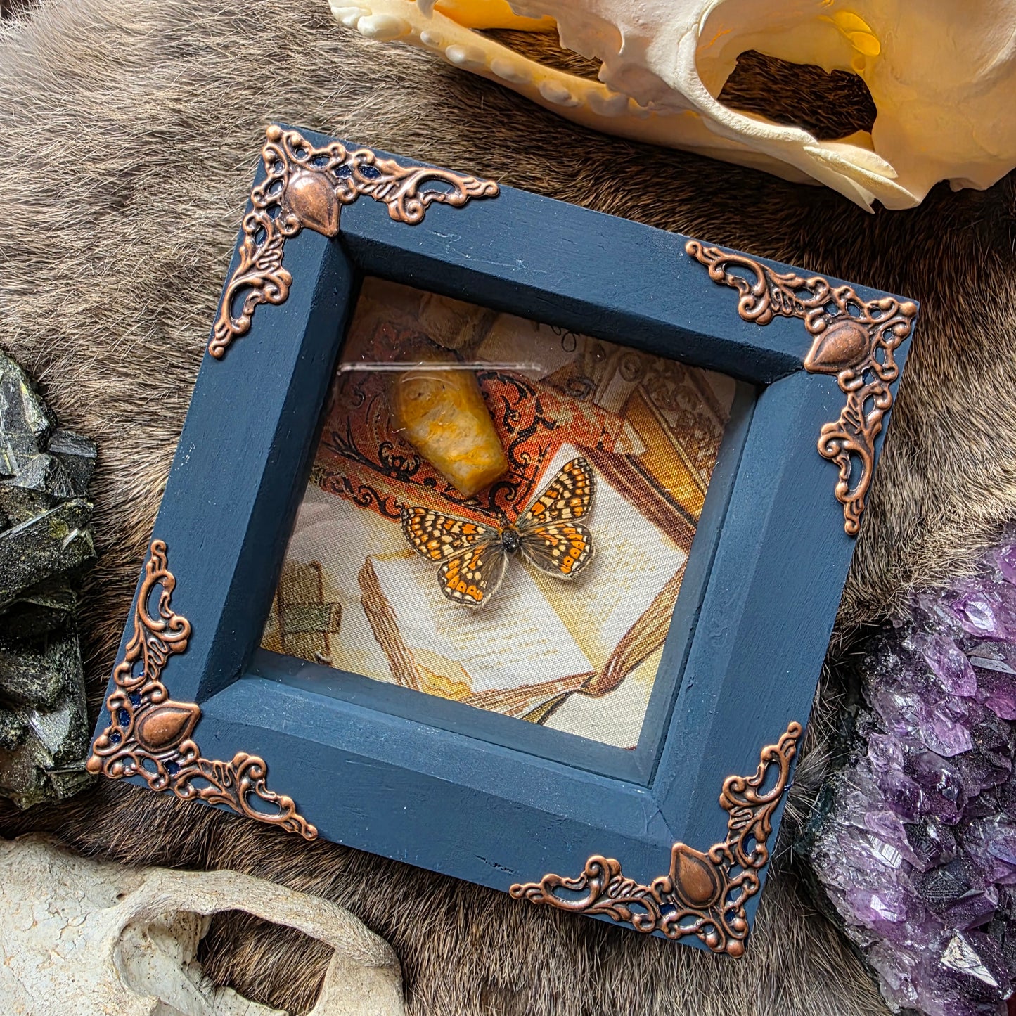 Checkerspot Butterfly Frame