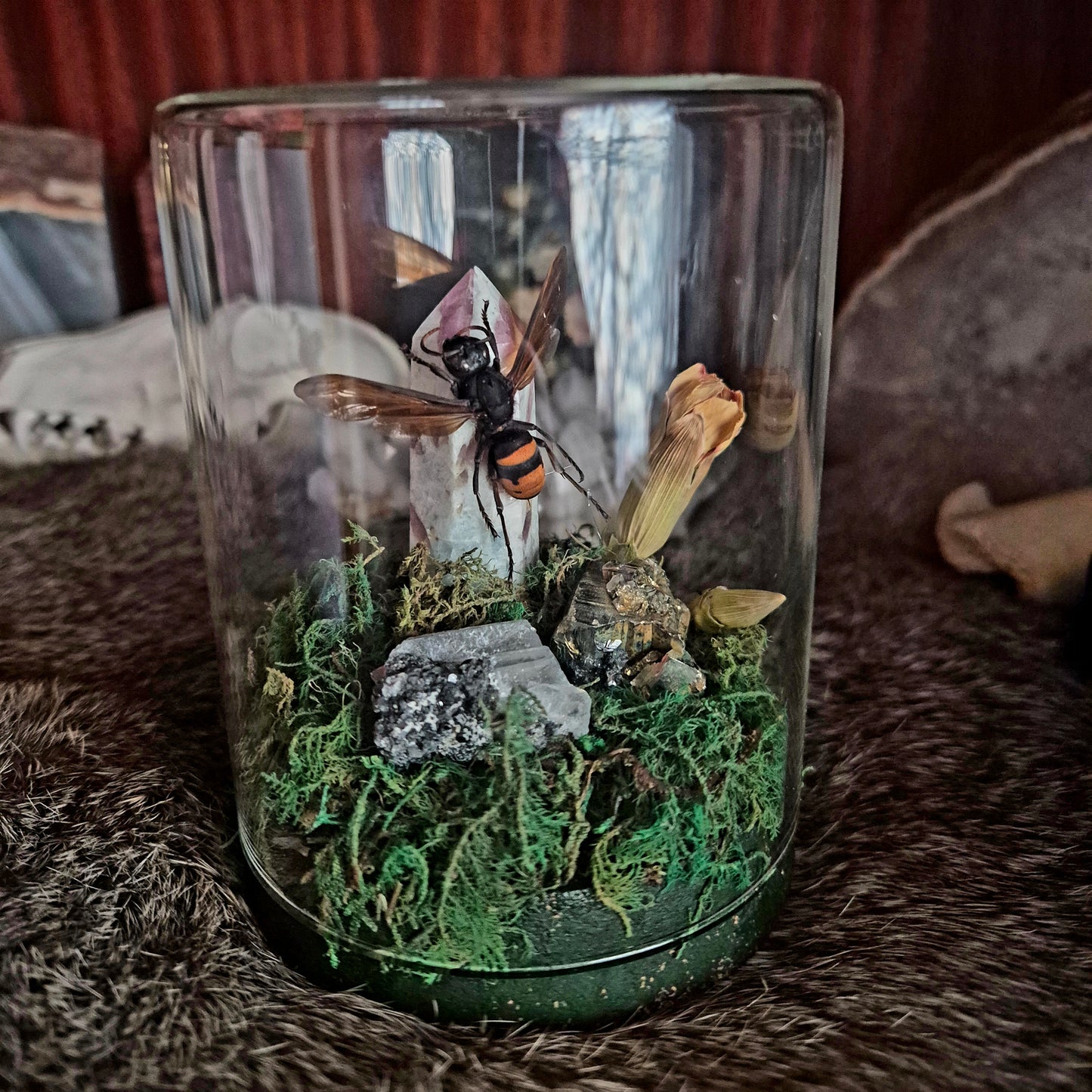 Wasp Jar