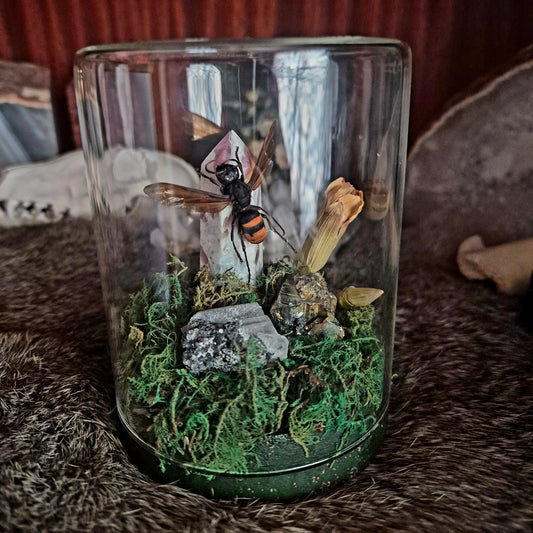 Wasp Jar