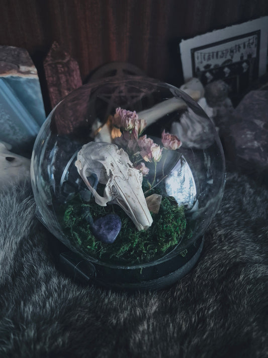 Rabbit Skull Bubble Dome