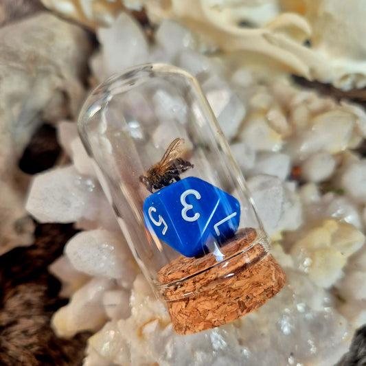 D&D Dice Bee Dome