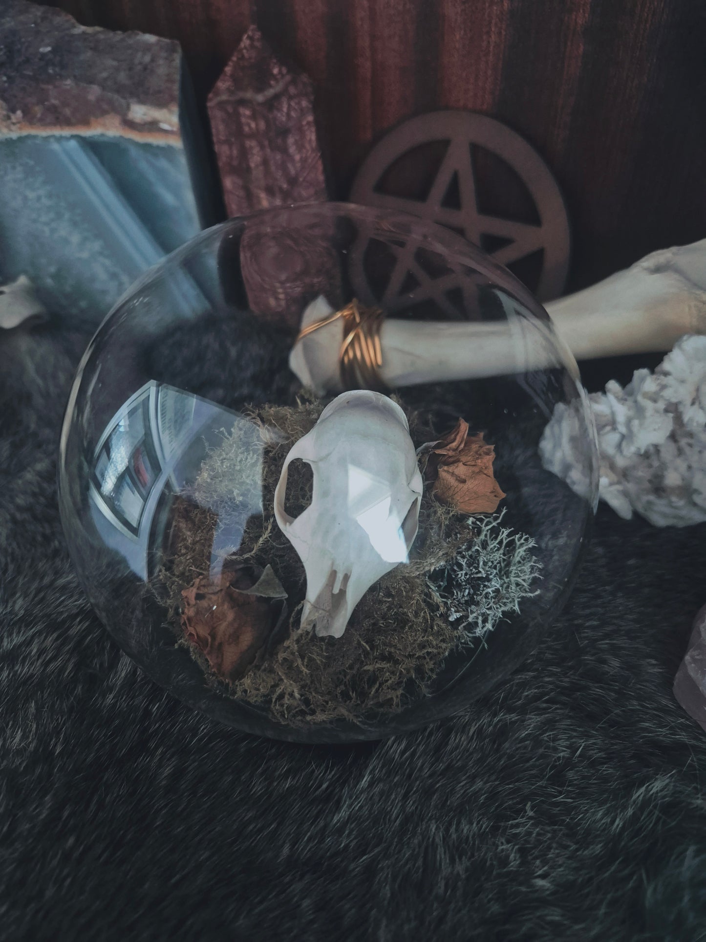 Squirrel Skull Dome