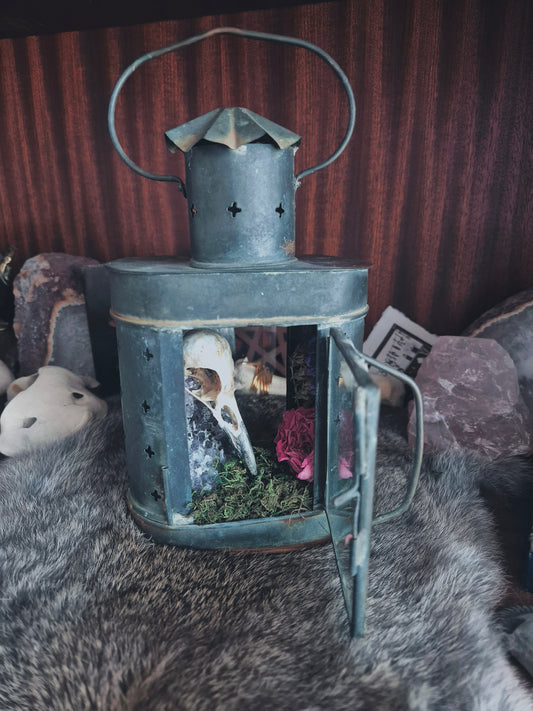 Crow Skull Lantern