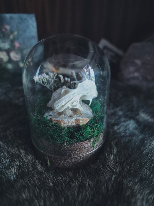 Rat Skull Dome