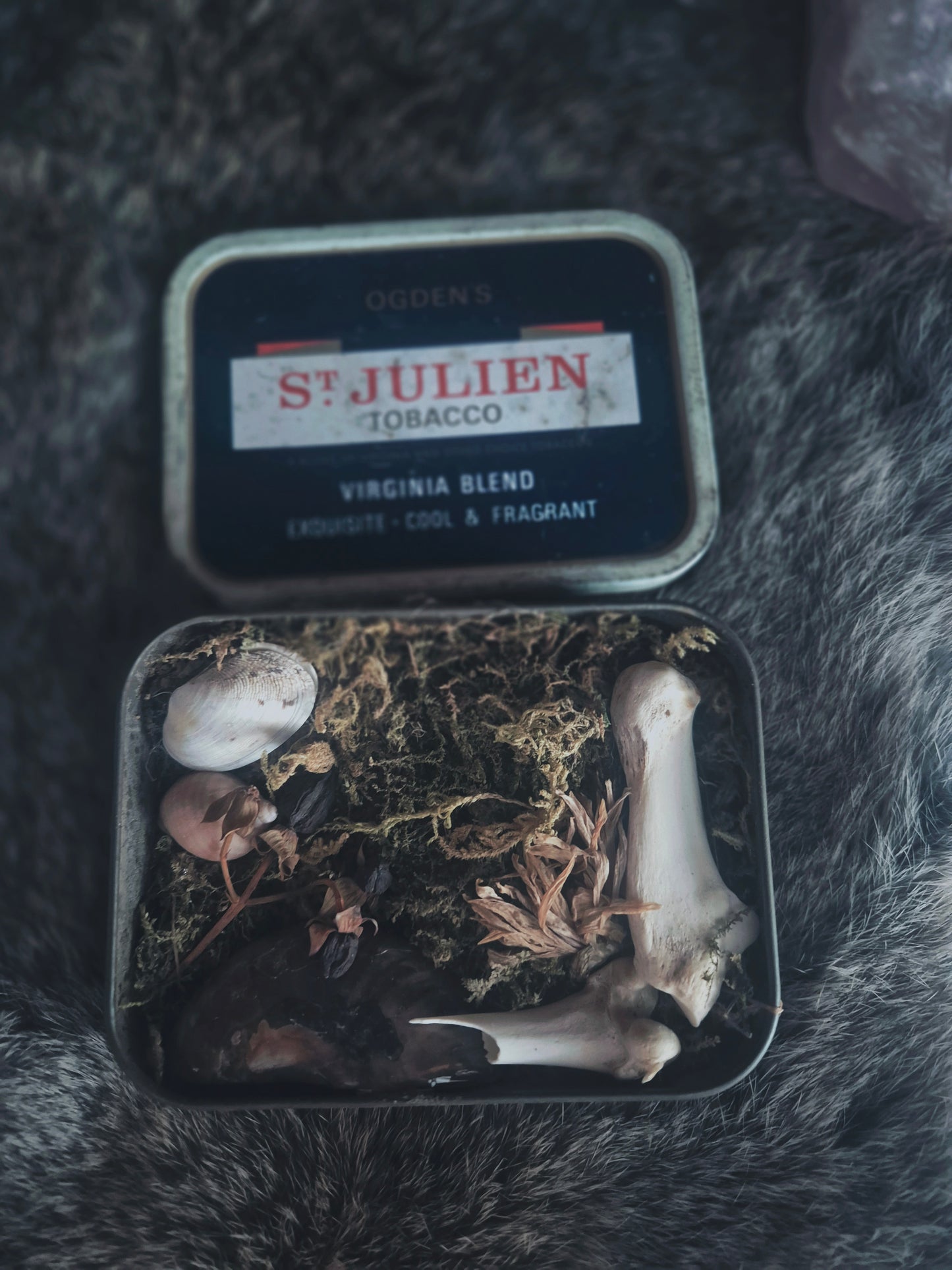Curio Tin