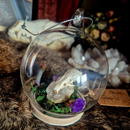 Rat Skull Bubble Dome