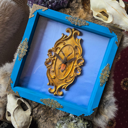 Giant Red Water Bug Frame