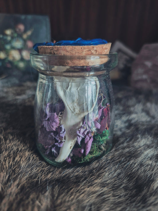 Rabbit Jaw Jar