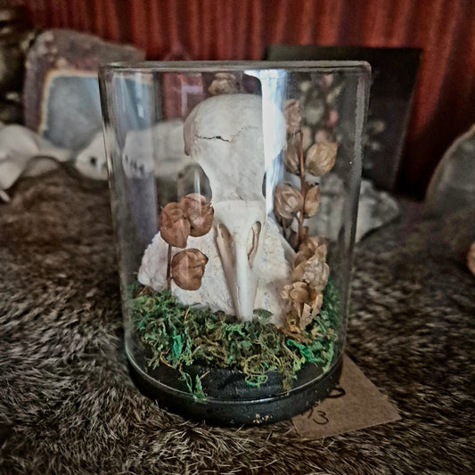 Crow Skull Jar