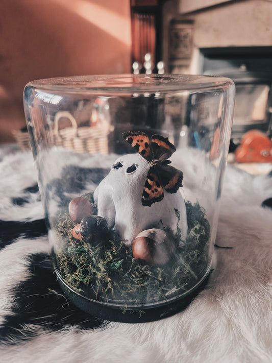 Tortoise Shell and Ghost