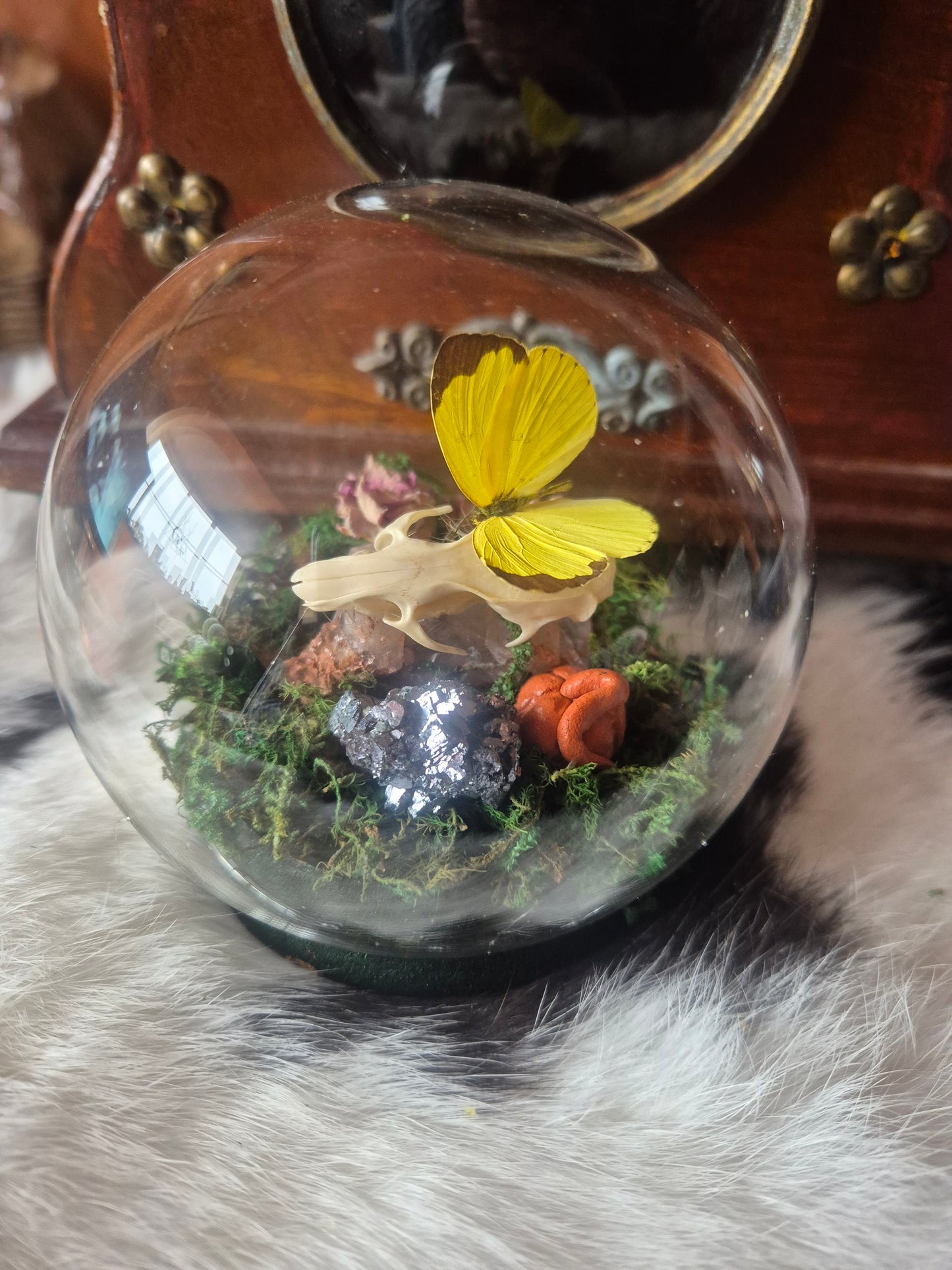 Rat Skull and Grass Yellow