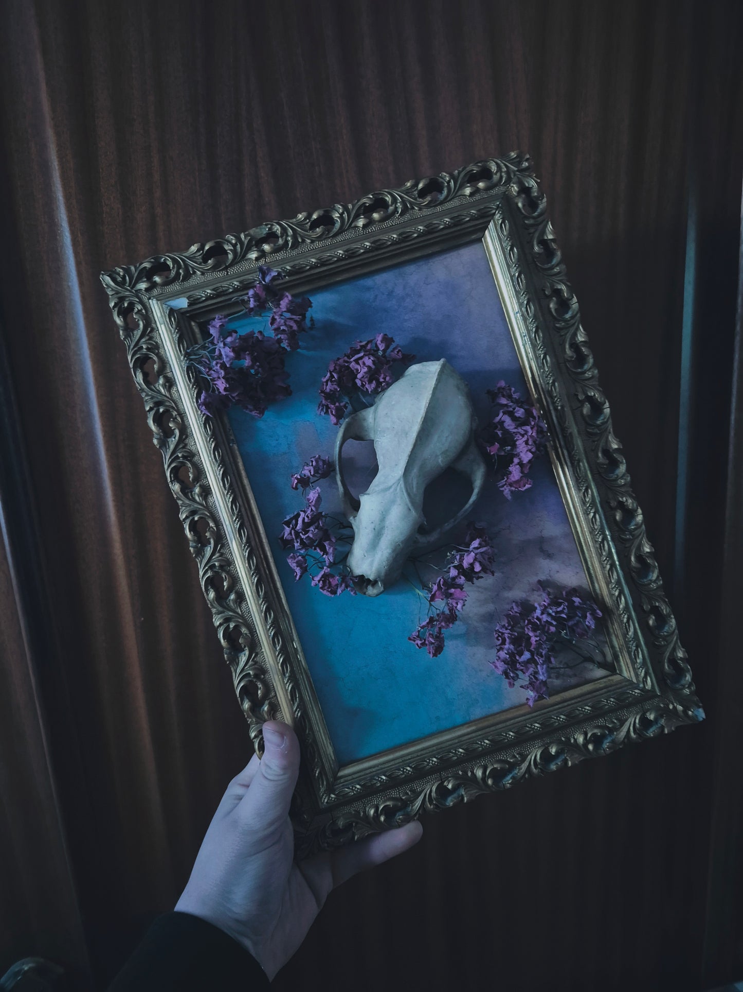Badger Skull Frame