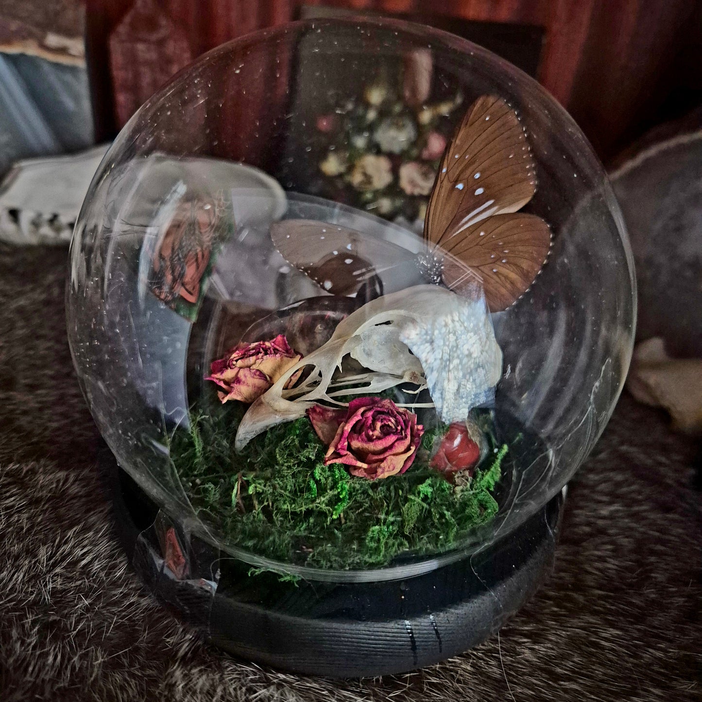 Grouse Skull and Butterfly Bubble Dome