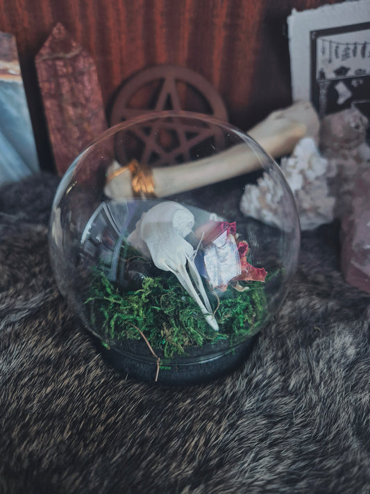 Pigeon Skull Dome