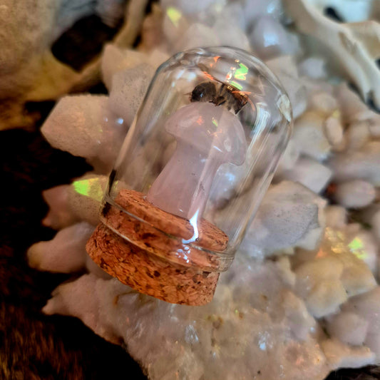 Rose Quartz Mushroom Bee Dome