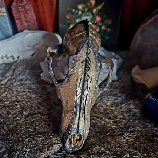 Hand Painted Fox Skull