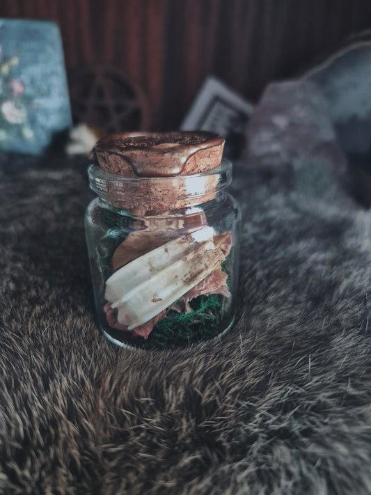 Sheep Tooth Jar