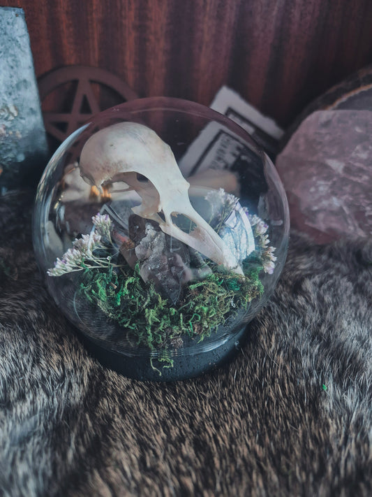 Crow Skull Dome