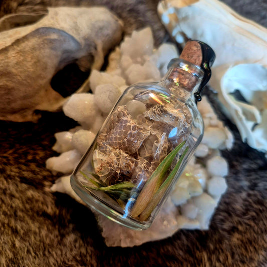 Snake Skin Bottle