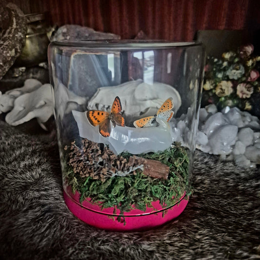 Onyx Dog and Butyerfly Jar