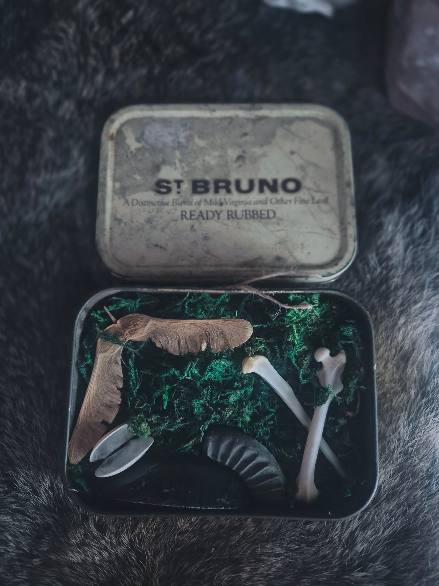 Curio Tin