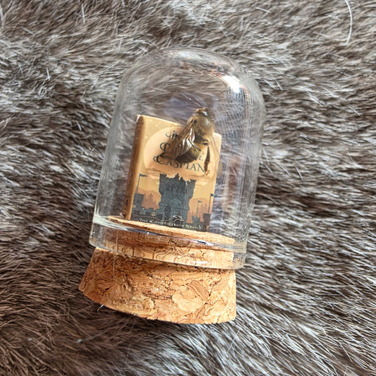 Book Bee Dome