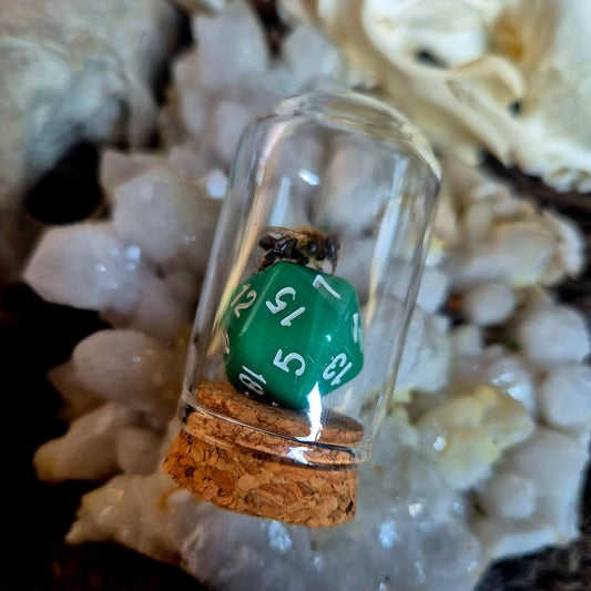 D&D Dice Bee Dome