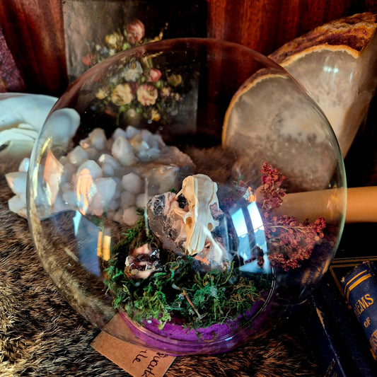 Rat Skull Bubble Dome