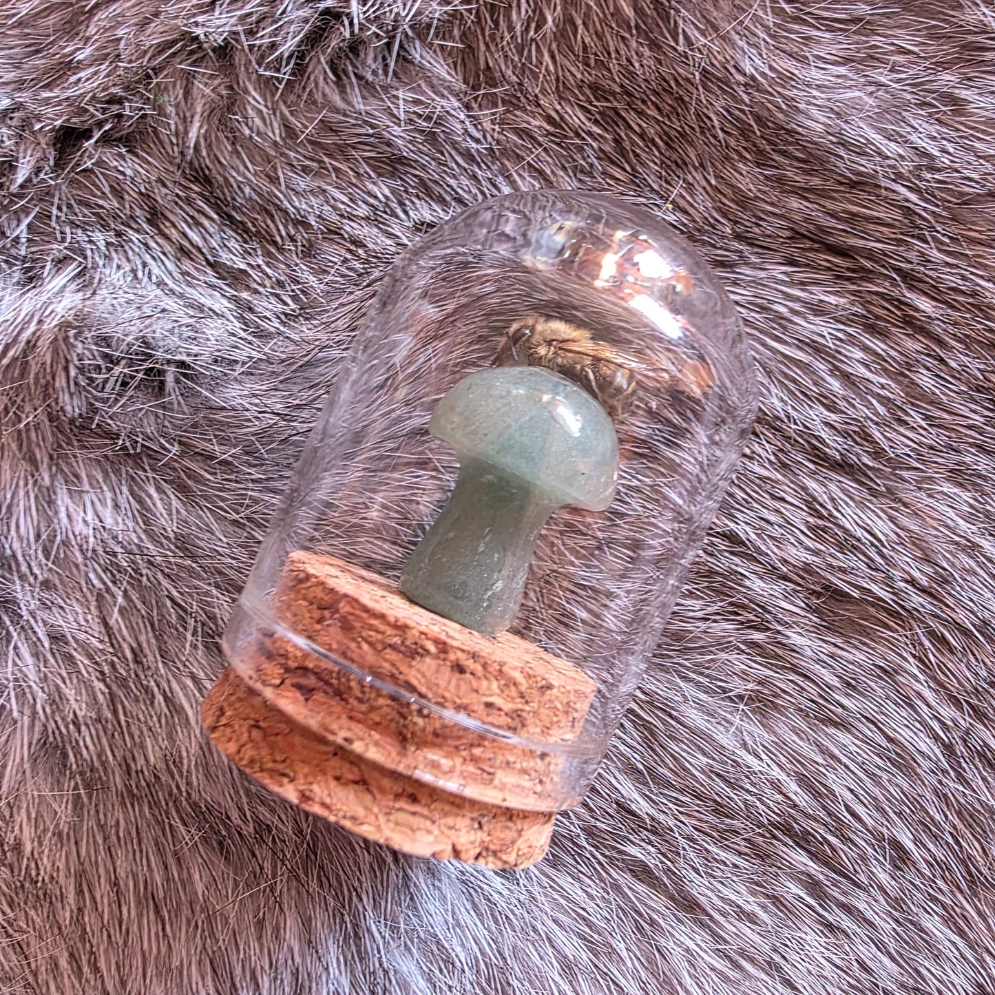 Crystal Mushroom Bee Dome