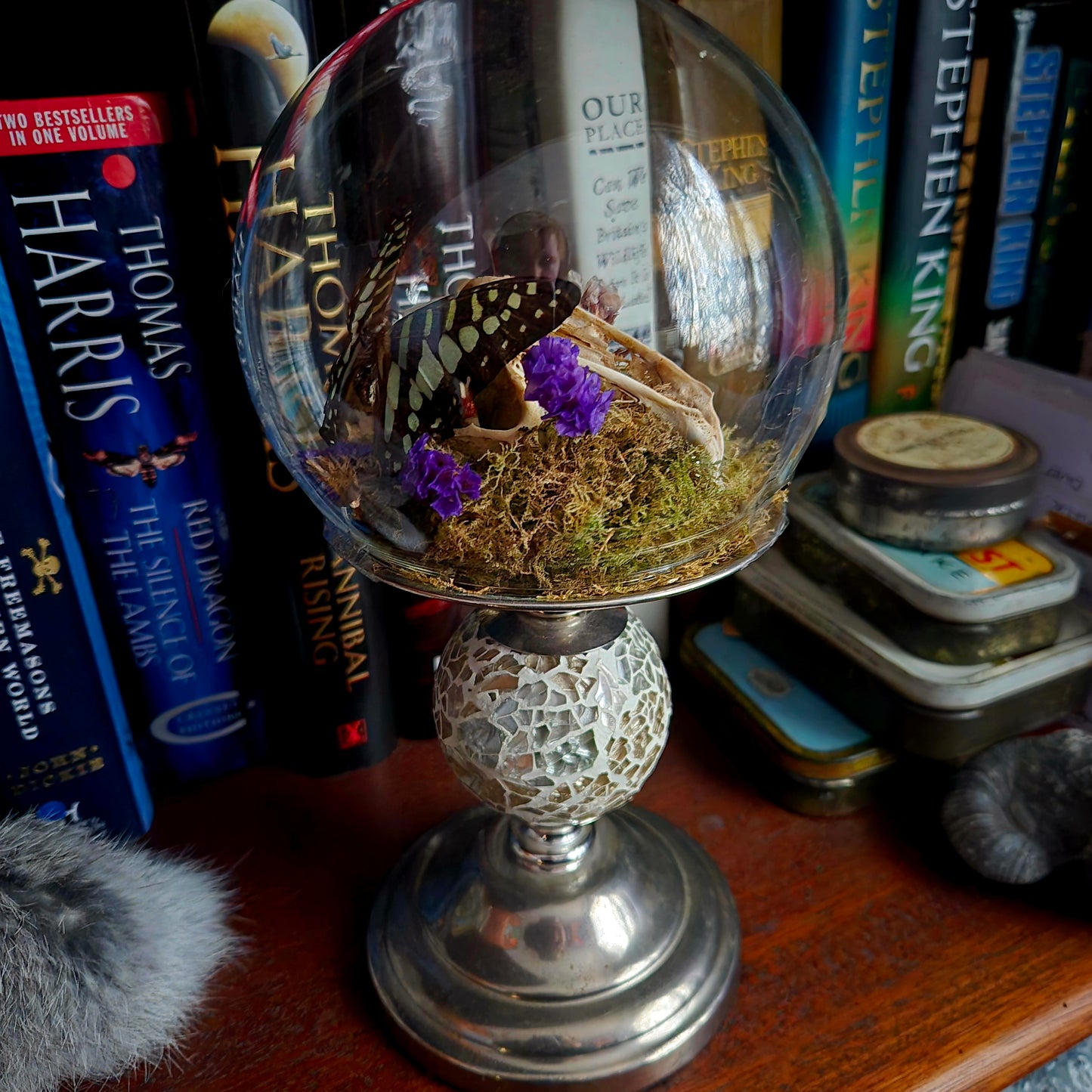 Rabbit Skull and Butterfly Bubble Dome on Stand