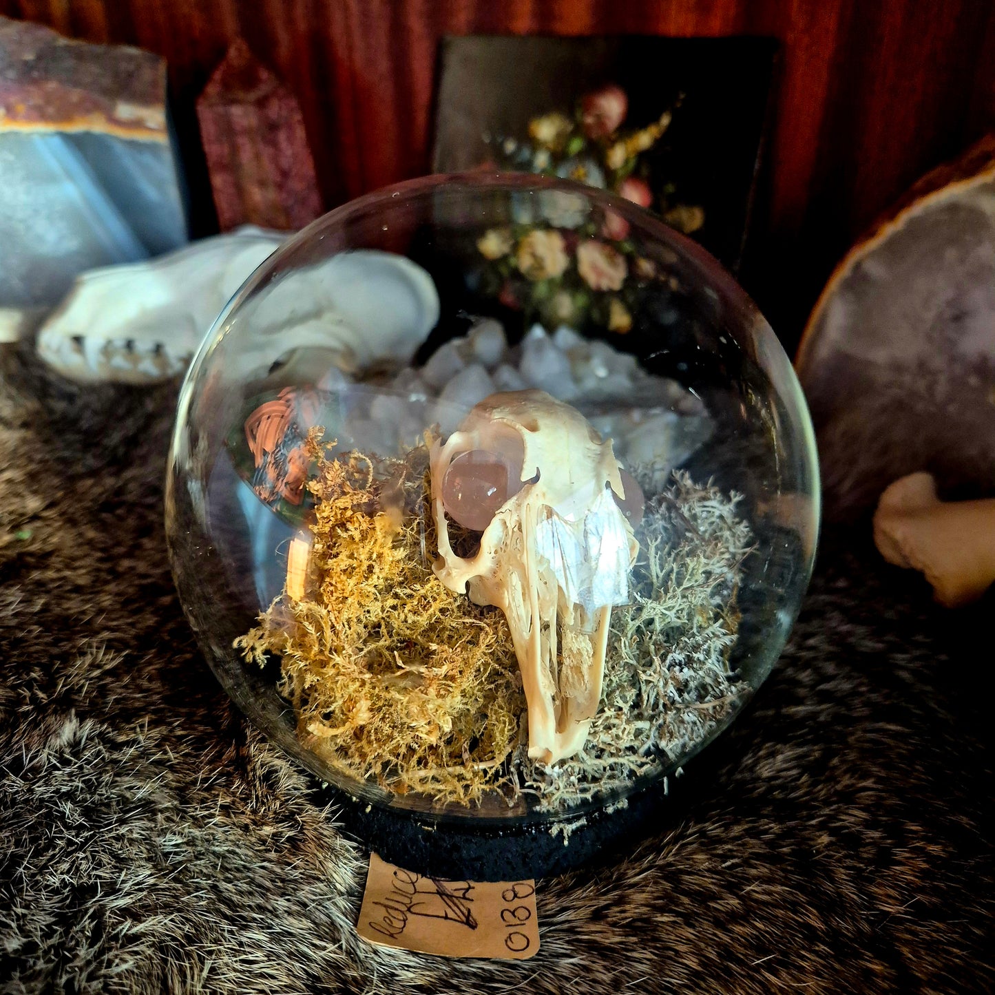 Rabbit Skull Bubble Dome