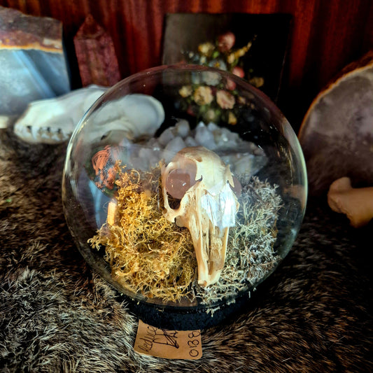 Rabbit Skull Bubble Dome