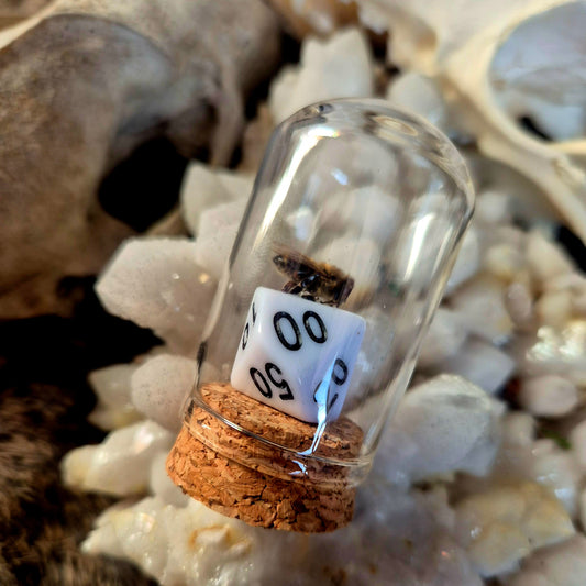 D&D Dice Bee Dome