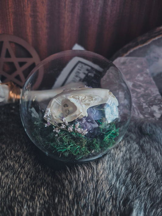Rabbit Skull Dome