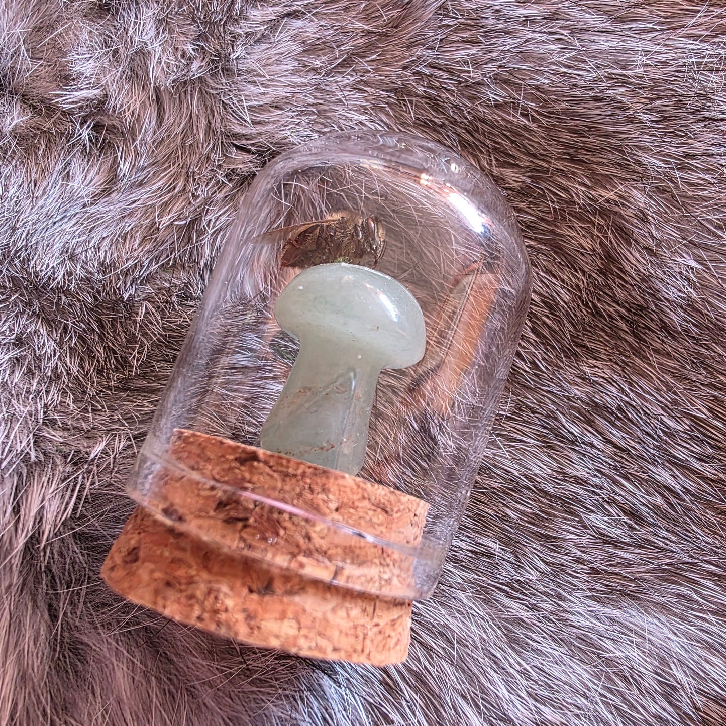Crystal Mushroom Bee Dome