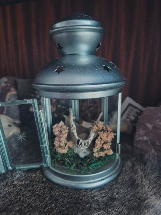 Badger Jaw Lantern