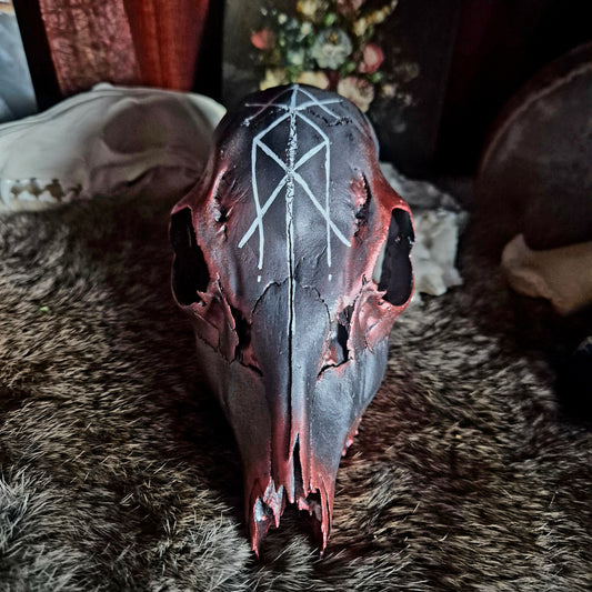 Hand Painted Roe Deer Skull