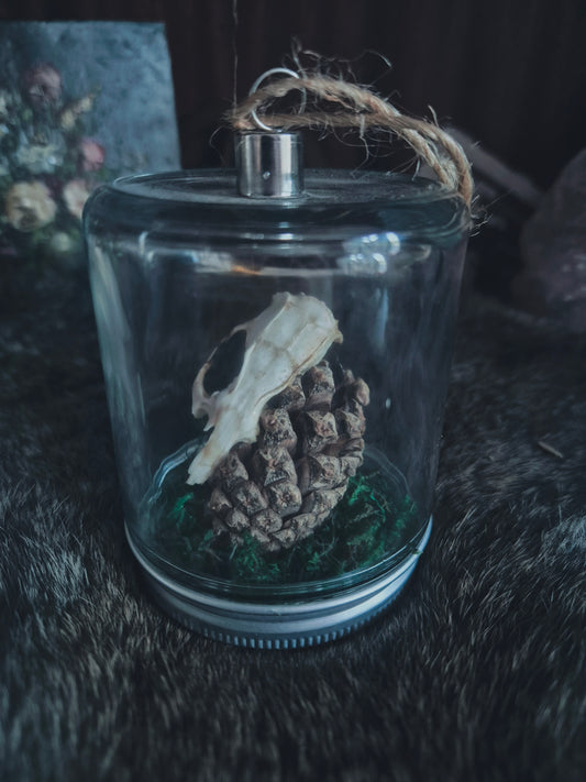 Rat Skull Dome