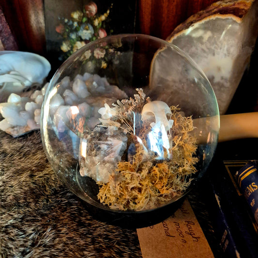 Partridge Skull Bubble Dome