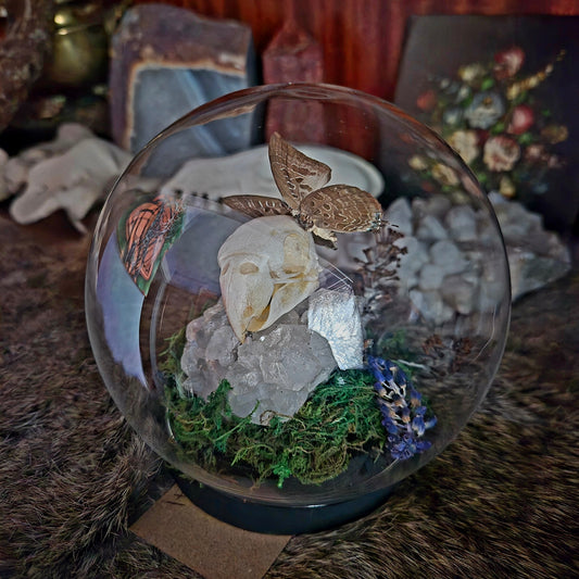 Parakeet Skull and Butterfly Bubble Dome