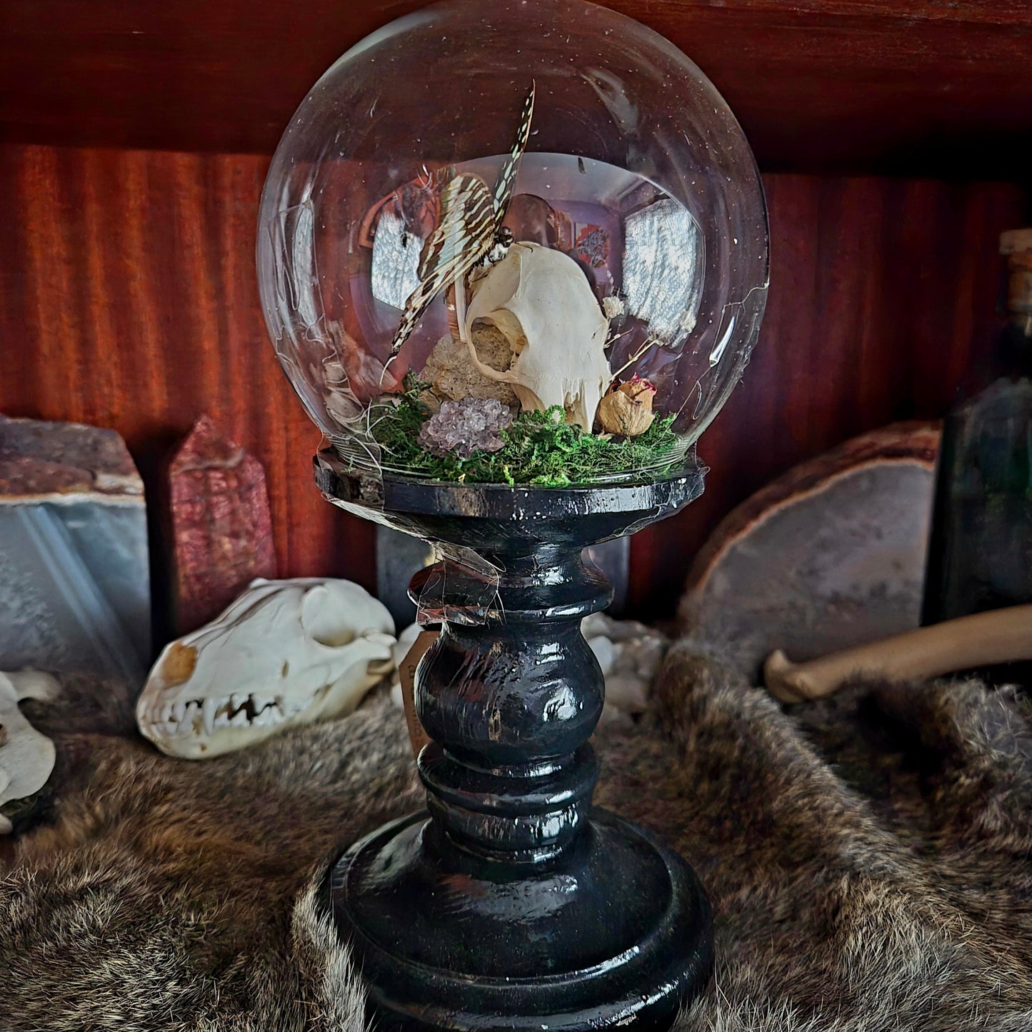 Squirrel Skull and Butterfly Bubble Dome on Stand
