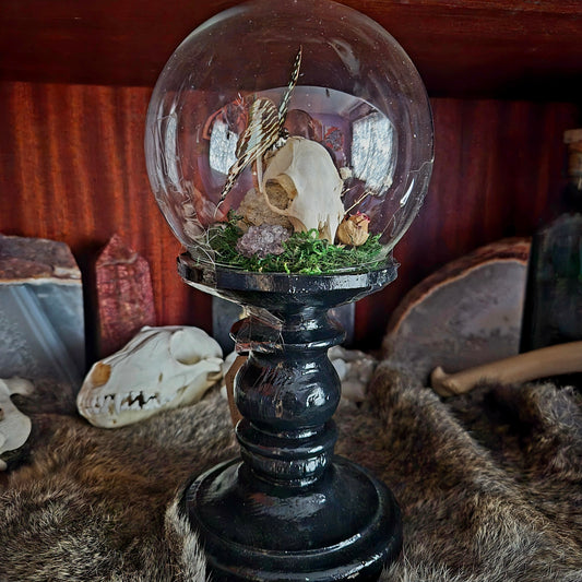 Squirrel Skull and Butterfly Bubble Dome on Stand