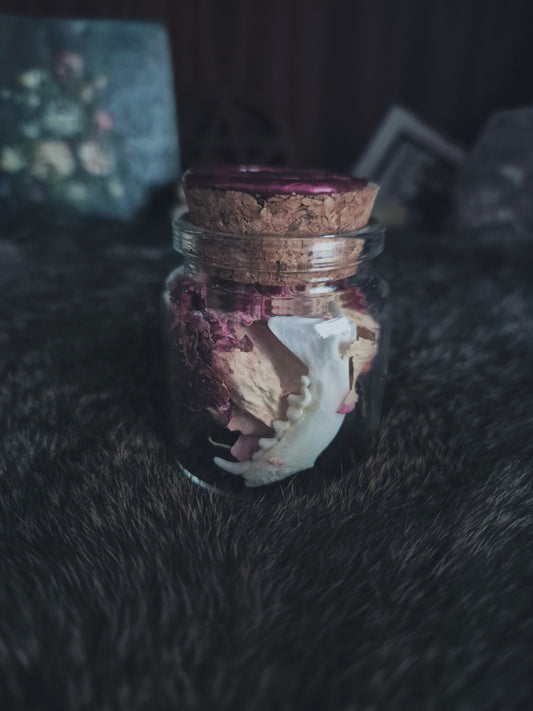 Stoat Jaw Jar