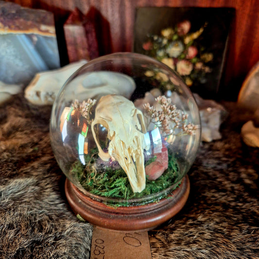 Rabbit Skull Bubble Dome