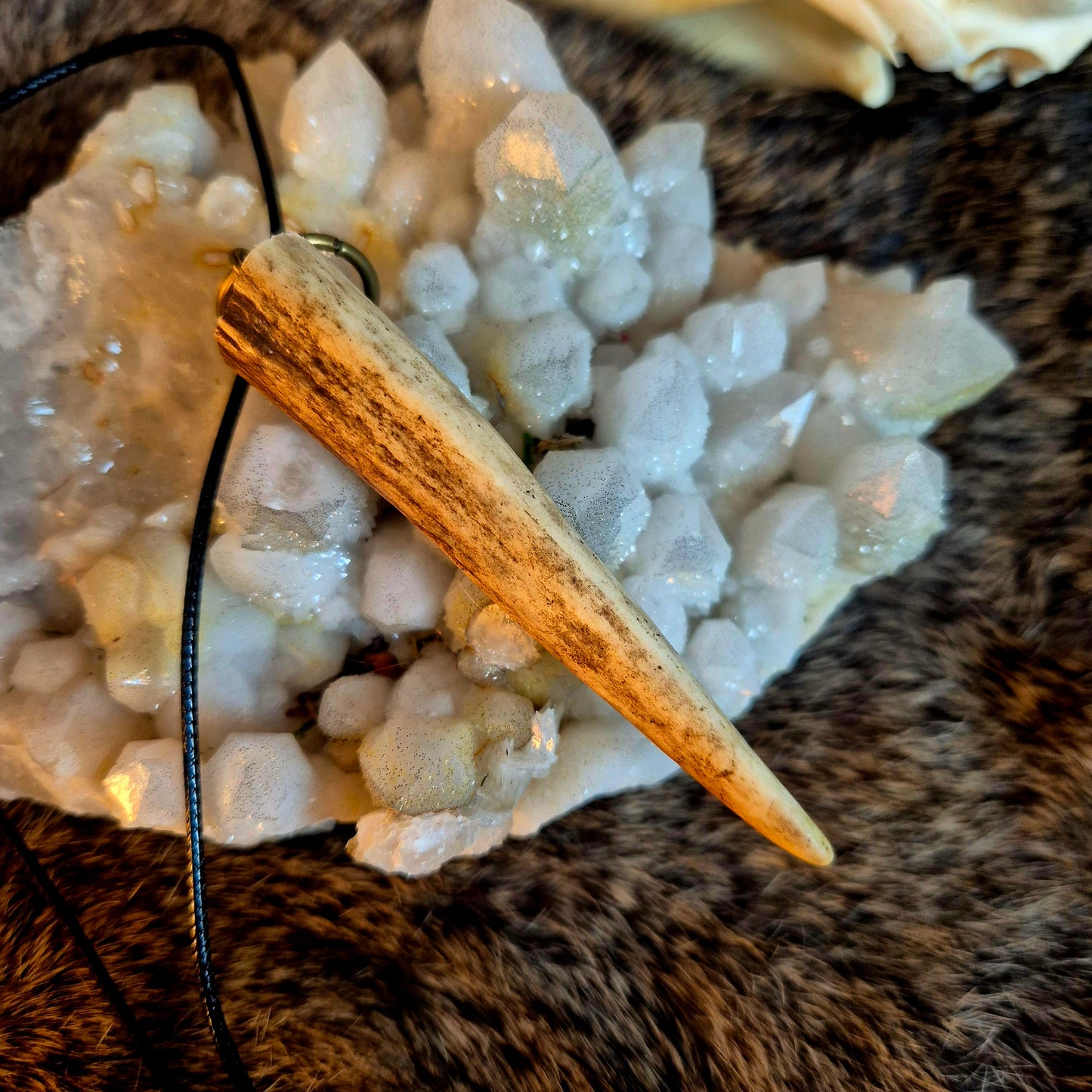 Roe Deer Antler Pendant