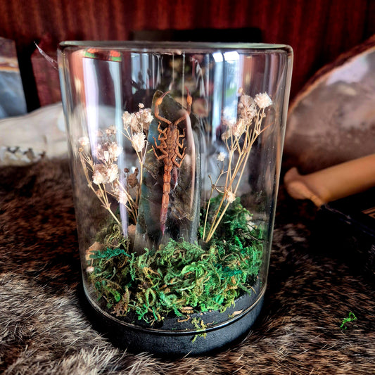 Scorpion Jar